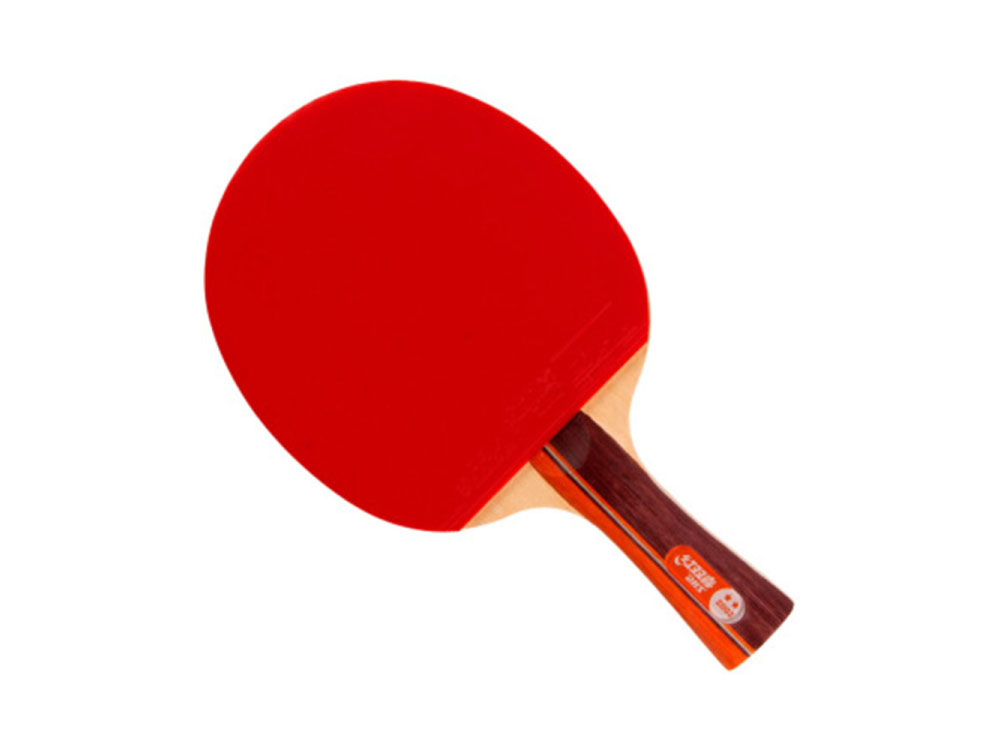 �t�pϲ��DHS) R2002-R2003-R2006-R2007����ƹ������